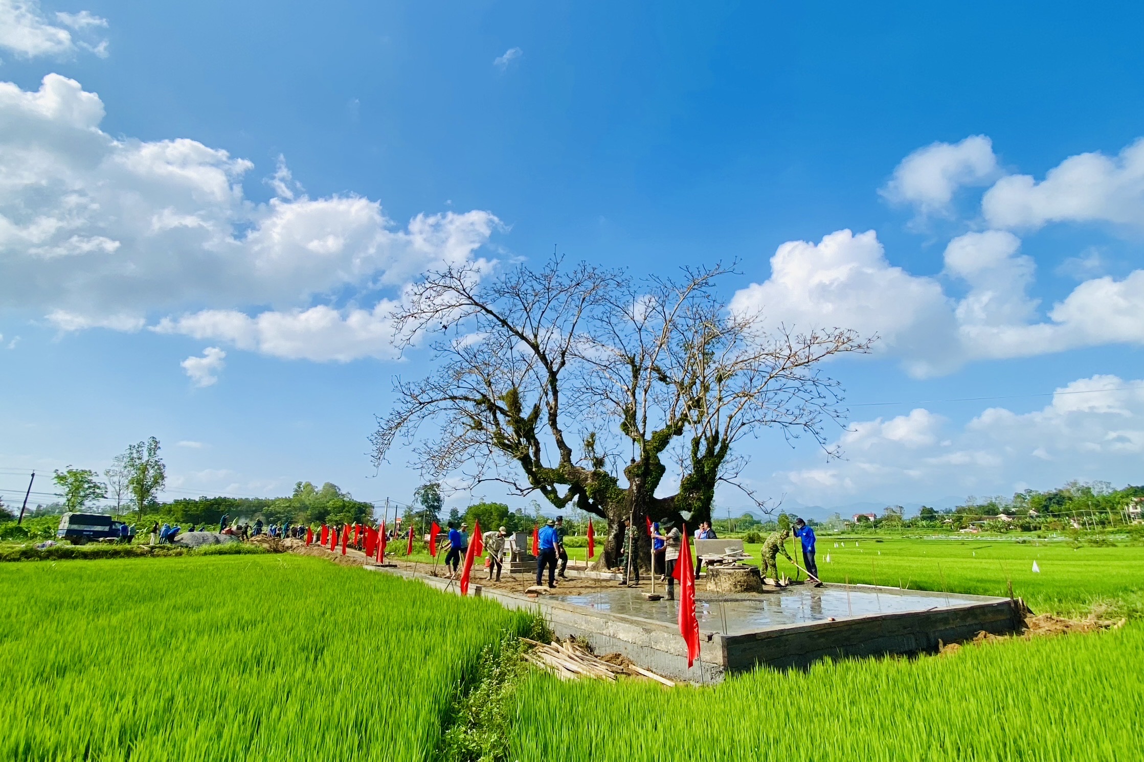 Di tích lịch sử Cây gạo: Cây gạo từ lâu đã là một biểu tượng của đất nước Việt Nam. Di tích lịch sử Cây gạo được bảo tồn và phát triển để giữ gìn và truyền lại văn hóa và lịch sử cho thế hệ sau. Năm 2024, di tích này vẫn là một điểm đến thu hút nhiều du khách trong nước và quốc tế. Hãy xem hình ảnh liên quan để khám phá thêm về lịch sử và văn hóa của cây gạo Việt Nam.