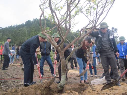 Các đồng chí lãnh đạo Tỉnh Đoàn và huyện Quảng Trạch trồng cây trong khu vực mộ Đại tướng
