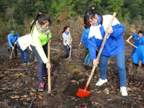 Đoàn viên thanh niên tham gia trồng cây 