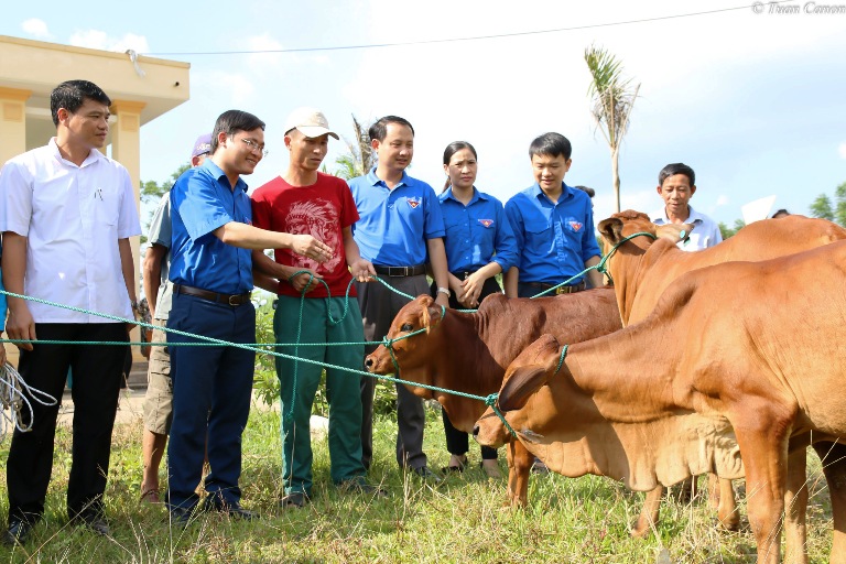 Đ/c Hoàng Văn Thanh - Phó Bí thư Tỉnh đoàn (thứ hai từ trái sang) trao tặng 27 con bò cái sinh sản cho 27 hộ nghèo, đoàn viên thanh niên nghèo tại 4 thôn của xã Minh Tiến 