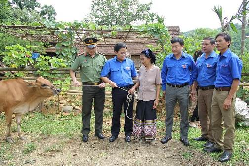 Trao tặng 2 con bò sinh sản cho thanh niên khó khăn phát triển kinh tế tại xã Châu Thành