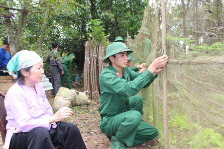 Chiến sĩ Tiểu đoàn Đặc công 19 giúp đỡ gia đình mẹ Thiều Thị Giáp che chắn vườn rau.