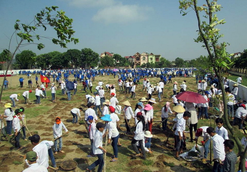 Đoàn viên thanh niên trồng cỏ tại sân vận động xã Tiến Dũng (Yên Dũng)