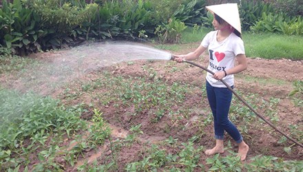 Thu Phương đang chăm sóc vườn rau của gia đình