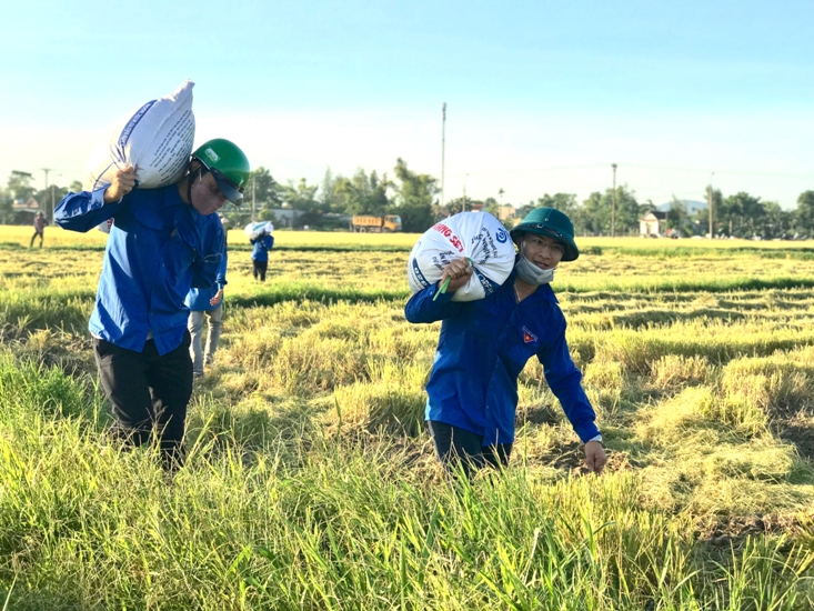 Lúa mùa là niềm tự hào của nông dân Việt Nam. Hãy cùng chiêm ngưỡng hình ảnh về mùa lúa đang chín vàng rực rỡ trên cánh đồng. Điều đó cho thấy sự khéo léo và nỗ lực không ngừng nghỉ của người nông dân trong sản xuất lương thực cho đất nước.