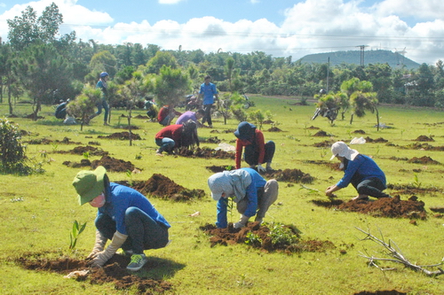ĐVTN tham gia trồng cây xanh, dọn dẹp vệ sinh môi trường
