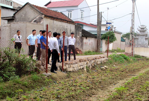 Đoàn công tác kiểm tra mô hình kinh tế thanh niên trồng Đinh lăng tại huyện Đông Triều.
