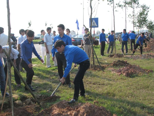 Đoàn viên thanh niên tiến hành trồng cây trên tuyên đường Tự Đức – Thủy Dương.