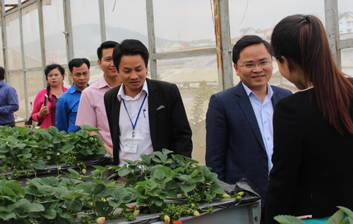Đồng chí Nguyễn Anh Tuấn tham quan một số mô hình tiêu biểu của Chi đoàn Trung tâm nghiên cứu khoai tây - rau – hoa tại Đà Lạt