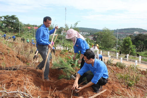 Đông đảo ĐVTN tham gia trồng cây tại Nghĩa trang Liệt sỹ tỉnh