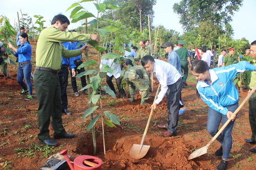 Các đồng chí lãnh đạo tỉnh và lãnh đạo thị xã Gia Nghĩa tham gia trồng cây tại lễ phát động
