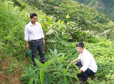 PCT xã Tô Văn Học với những sáng kiến làm giàu cho người dân