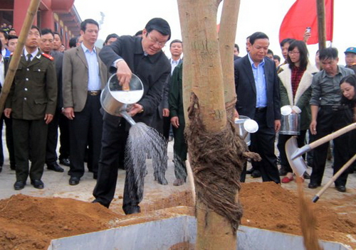 Chủ tịch nước Trương Tấn Sang trồng cây sau lễ phát động Tết trồng cây “Đời đời nhớ ơn Bác Hồ” 