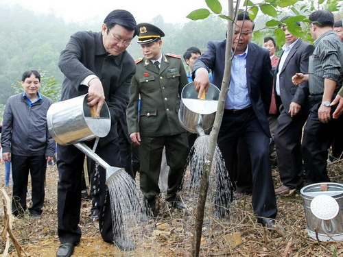 Chủ tịch nước Trương Tấn Sang tham gia Tết trồng cây ở phường Hàm Rồng, thành phố Thanh Hóa (Ảnh: TTXVN)