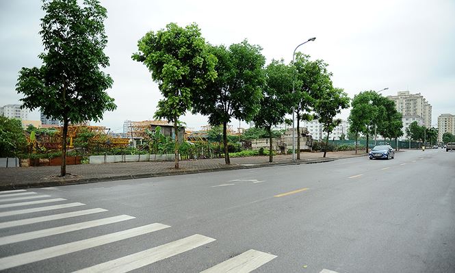  Hiện nay, khu dân cư hai bên đường phố Nguyễn Lam khá thưa thớt, chủ yếu là các khu chung cư và khu đô thị