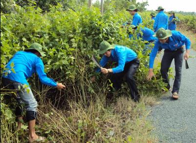 Các chiến sĩ tình nguyện trường Cao đẳng Cộng Đồng giúp dân phát quang bụi rậm tại xã Tam Giang Đông, huyện Năm Căn