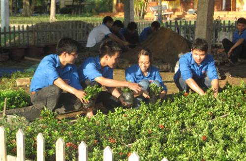 Đội sinh viên tình nguyện bảo vệ môi trường chăm sóc cây cảnh, nhân giống phục vụ trang trí trong khuôn viên Nhà trường